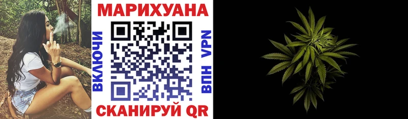 Бошки Шишки Верея
