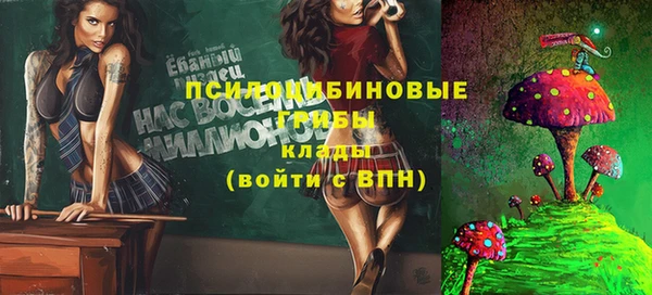 mix Сосновоборск