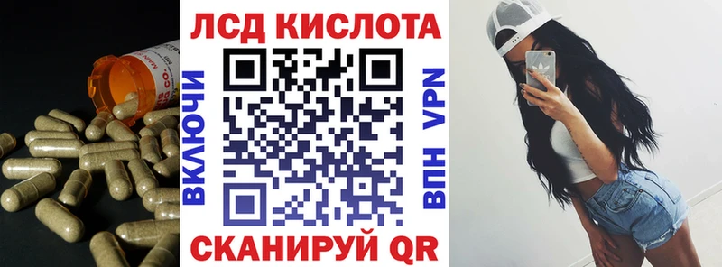 как найти закладки  Верея  Лсд 25 экстази кислота 