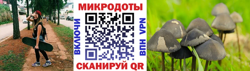 Галлюциногенные грибы GOLDEN TEACHER  Верея 